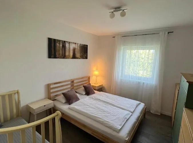 Dream High Tatras 펜션 Stará Lesná